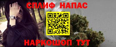 прущие грибы Усть-Джегута