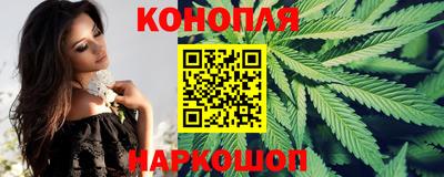 прущие грибы Усть-Джегута