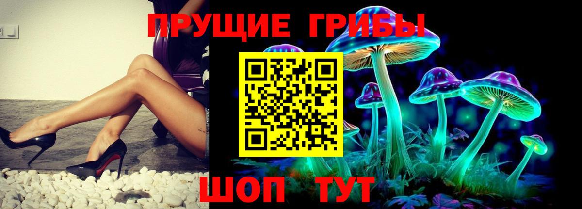 Галлюциногенные грибы MAGIC MUSHROOMS  Вход с VPN  Усть-Джегута 